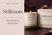 Vesoliere Elegant Serif Font, a Serif Font by Designertale (Thumbnail 7 of 10)