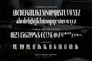 Ramond - Condensed Serif, a Serif Font by Novitype (Thumbnail 11 of 14)