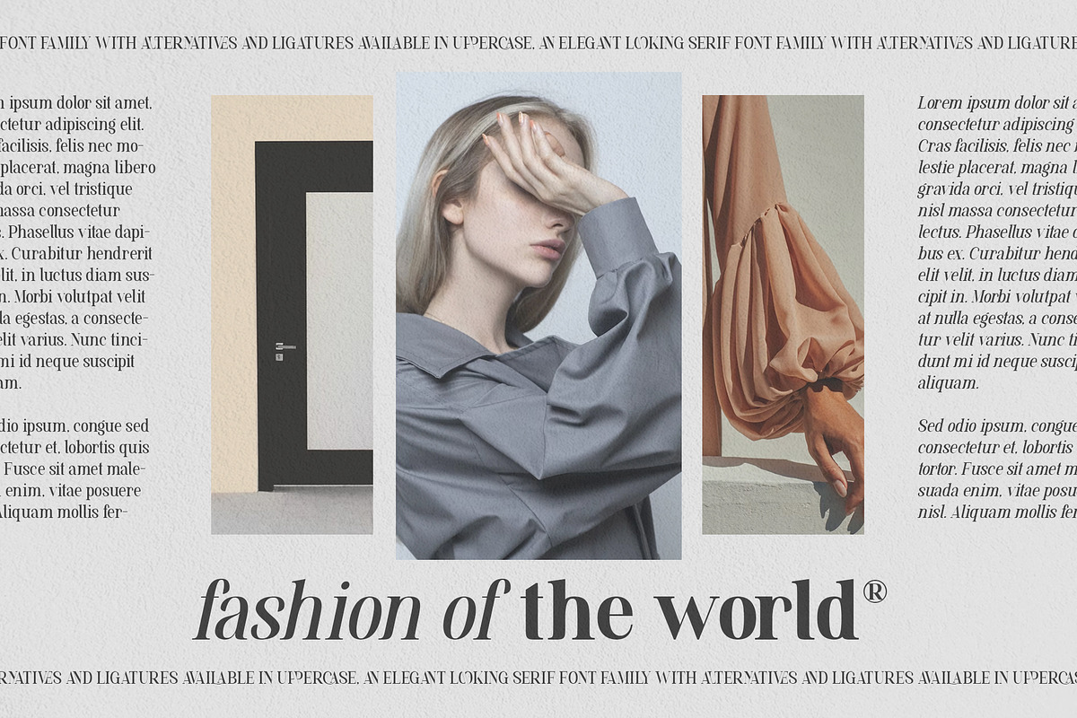 Mylierka - Serif Font (11 Fonts), a Serif Font by Maculinc Type (Photo 5 of 15)