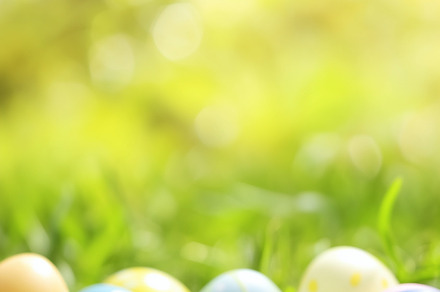 Colorful Easter eggs decorated, a Holiday Photo by MistyDay