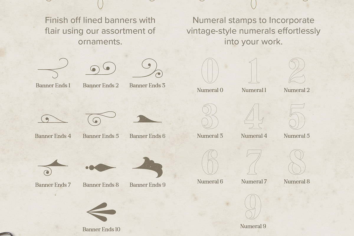 Vintage Lettering Brush Toolbox, a Brush Add-On by Nico-Ng (Photo 13 of 21)