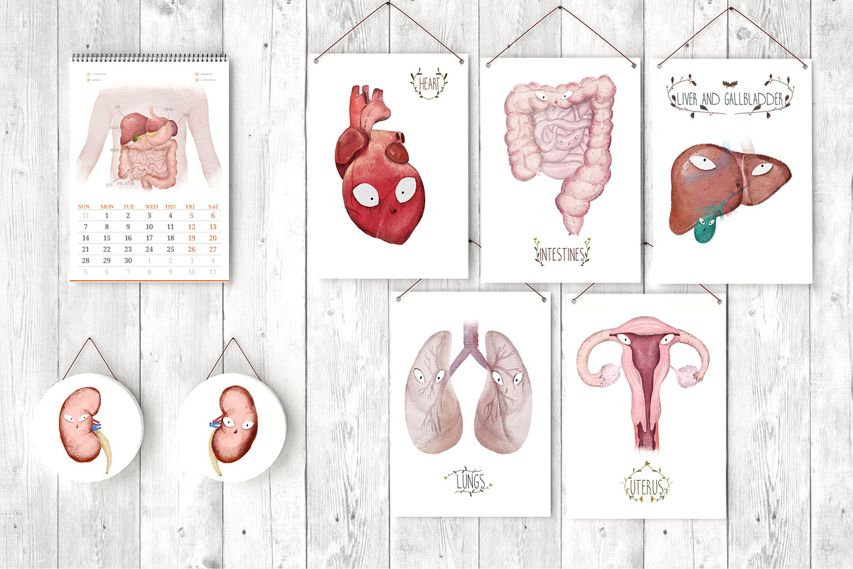Human Anatomy Watercolor Organs, an Education Illustration by Innerlanel (Photo 2 of 3)