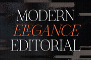 The Pixel Editorial – Modern Serif, a Sans Serif Font by Lettertype Studio (Thumbnail 3 of 15)