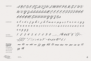 Glamour Bouquet, a Handwritten Font by Aluyeah Studio (Thumbnail 11 of 12)