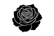 50 Black Rose Silhouette Vector Bund, an Illustration by Gaye Art (Thumbnail 9 of 51)