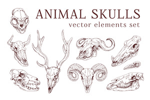 Handdrawn Animal & Bird Skulls Set