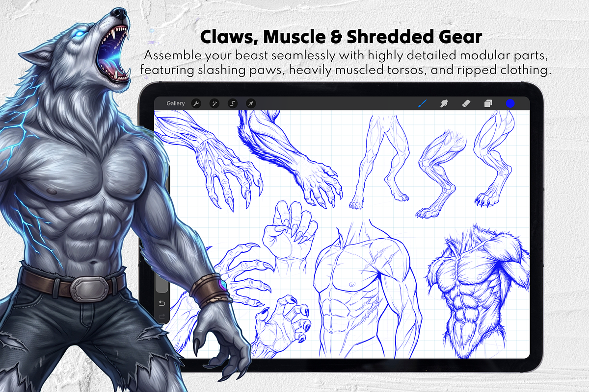 Werewolf Maker Procreate Stamps, a Brush Add-On by Selentaori Studio (Photo 7 of 12)