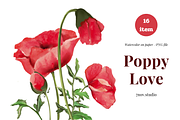 Poppy love watercolor, an Illustration by 7nov.studio (Thumbnail 1 of 7)