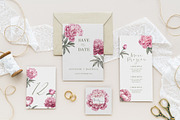 12 Watercolor Peonies PNG, a Decorative Illustration by Kotkoa (Thumbnail 4 of 11)