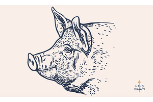 Pork, pig, hog, meat sketch, an Animal Illustration by Foxys Graphic