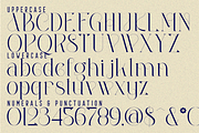 Merchant Challenge Font, a Serif Font by 177Studio (Thumbnail 7 of 8)
