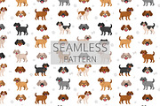Pugalier (Cavapug) dog mix, an Animal Illustration by pet design shop (Thumbnail 5 of 6)