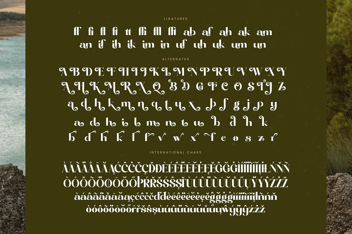 Comfort Roads Groovy Serif Font, a Serif Font by timelesstype.co (Photo 19 of 20)