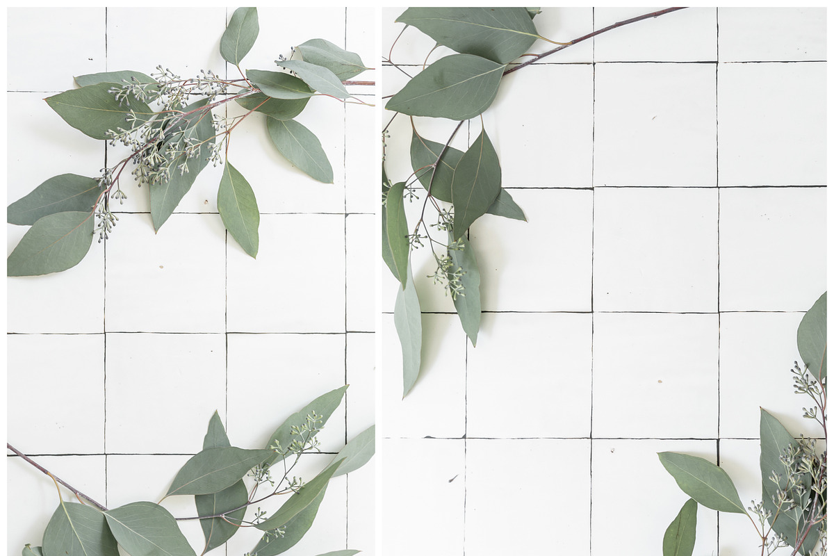 Eucalyptus Stock Photography Bundle, a Print Template by Smitten Photo & Design (Photo 7 of 8)