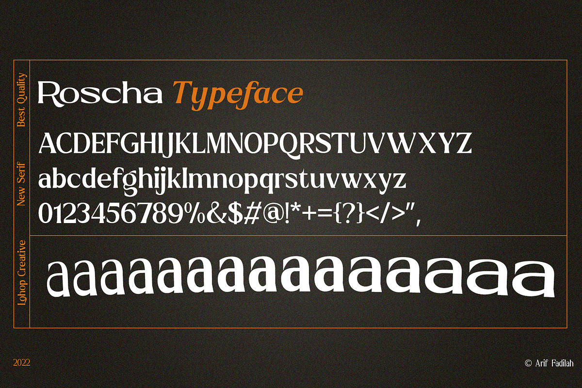 Roscha | Modern Serif Font Disc 50%, a Serif Font by LuhopCreative (Photo 3 of 13)