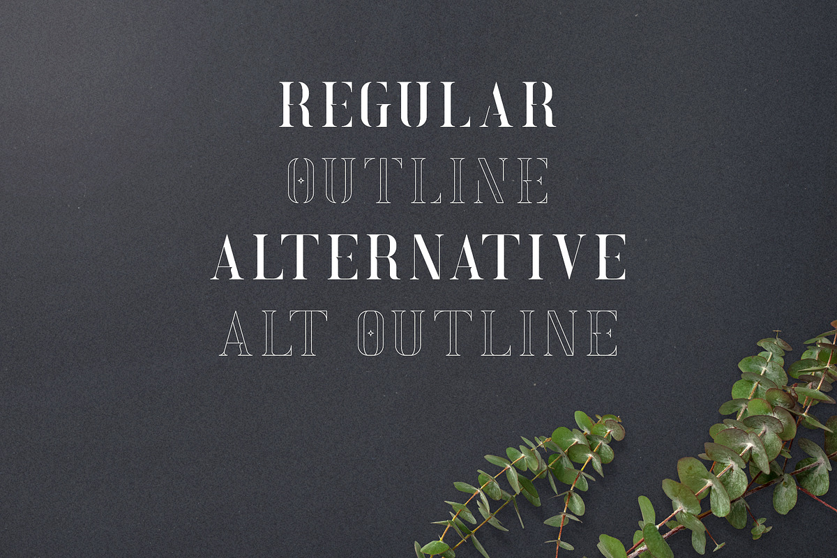 Exquisite - Serif Typeface|4 Styles preview 2