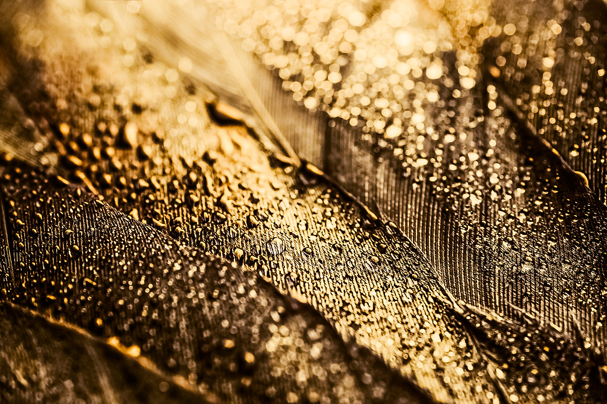 Golden glitter texture backgrounds, a Texture Graphic by Anntuan (Photo 14 of 14)
