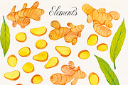 Fruit & Vegetable Watercolor Bundle, a Decorative Illustration by Olga Begak Art & Design (Thumbnail 13 of 13)