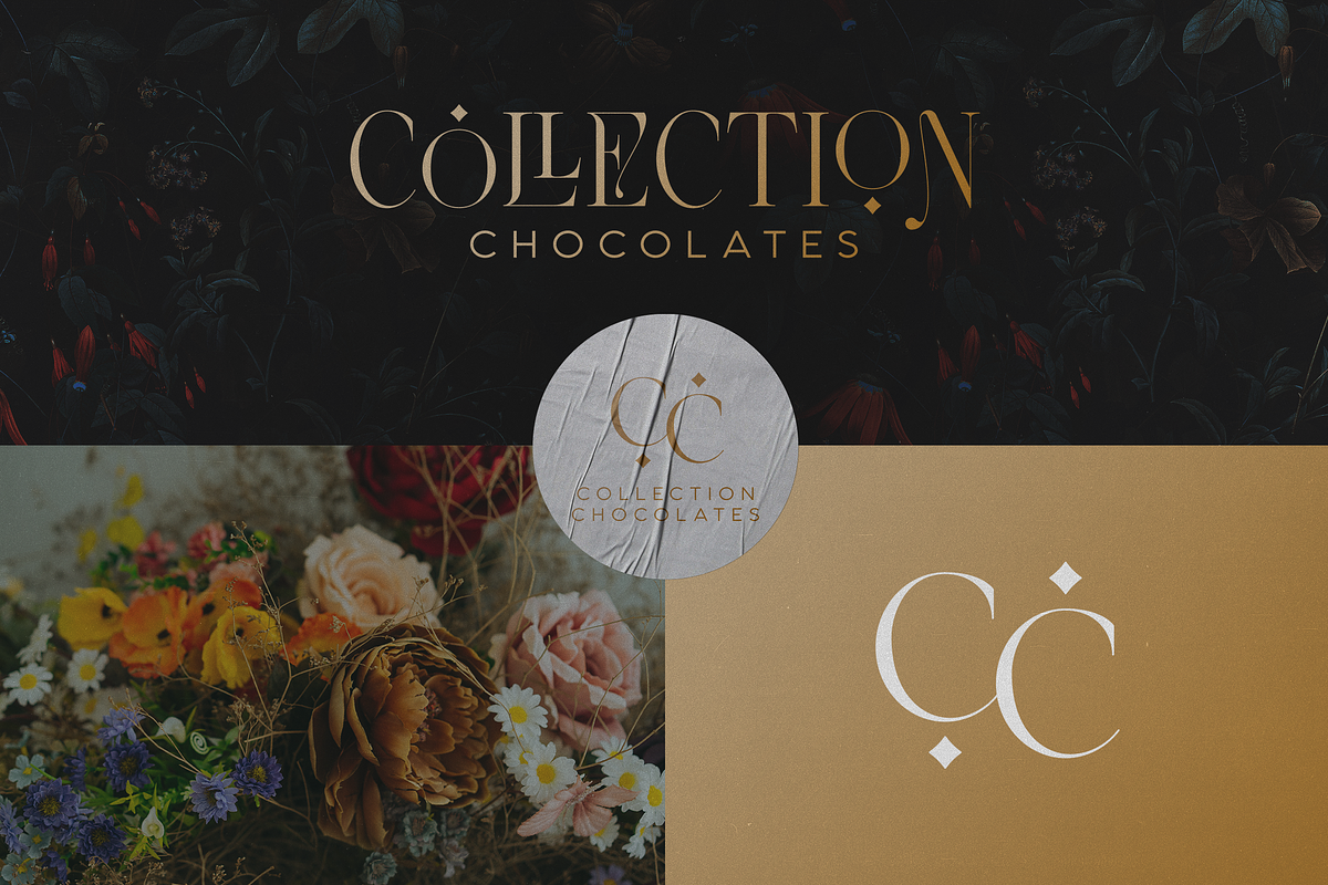 Emotive Type - creative font duo, a Serif Font by VP Fonts (Photo 4 of 17)