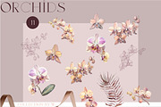 Bohemian Leaves & Orchids, a Decorative Illustration by Collection by VY (Thumbnail 11 of 11)