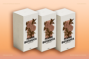 FLORA BOTANICA Vector Illustrations, an Object Graphic by angelainthefields (Thumbnail 6 of 13)
