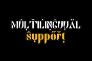 LC Sousgerynuen Serif Premium, a Serif Font by LuhopCreative (Thumbnail 5 of 12)