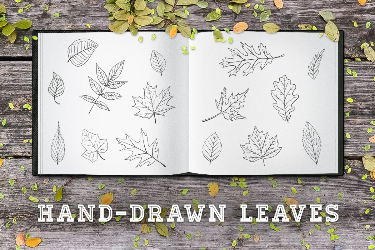 Hand-Drawn Leaves, an Illustration by Build Interactive