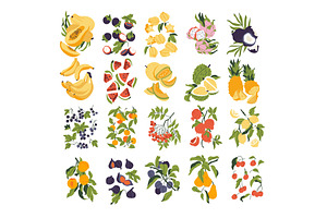 Collection Fruit Prints