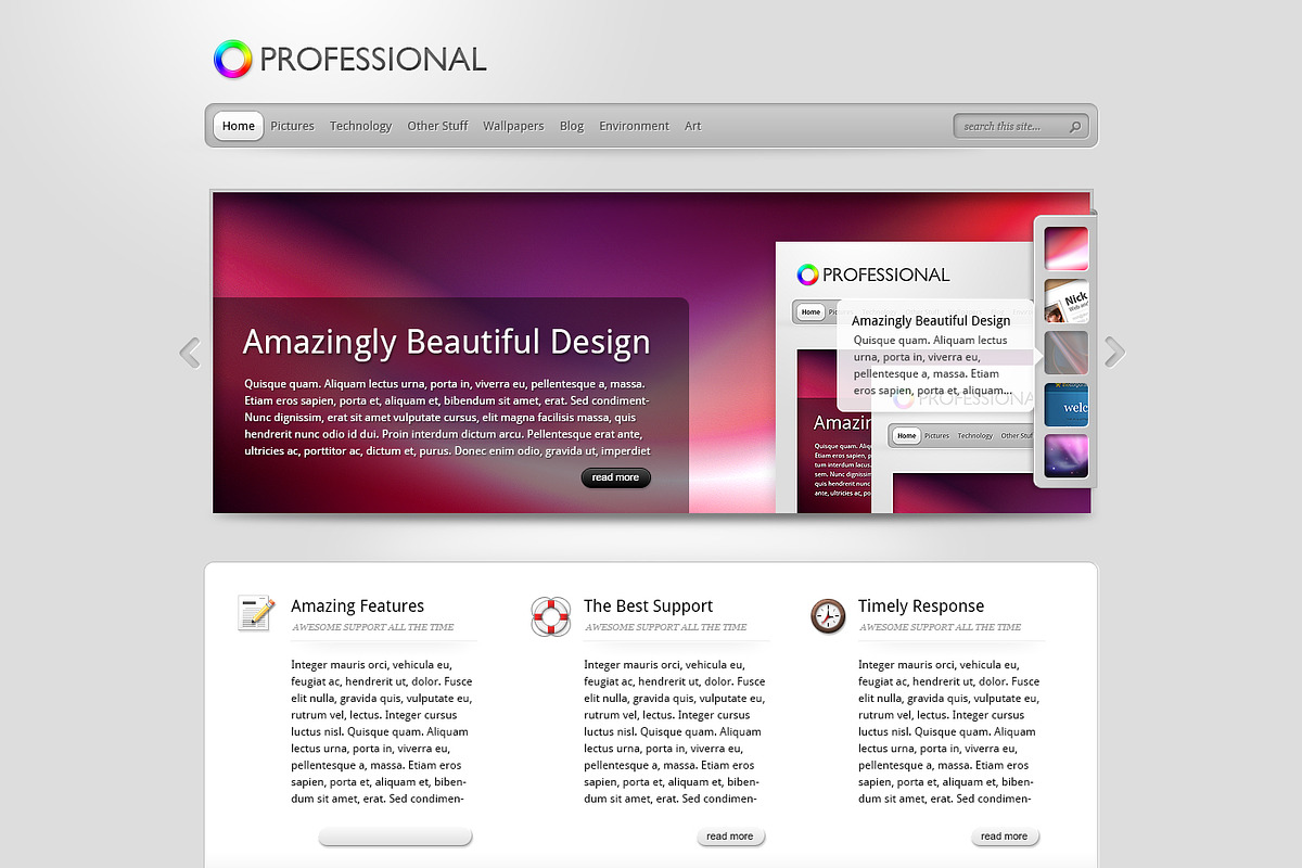 The Professional - Elegant Team, a WordPress Template by Elegant Themes Team (Photo 1 of 4)