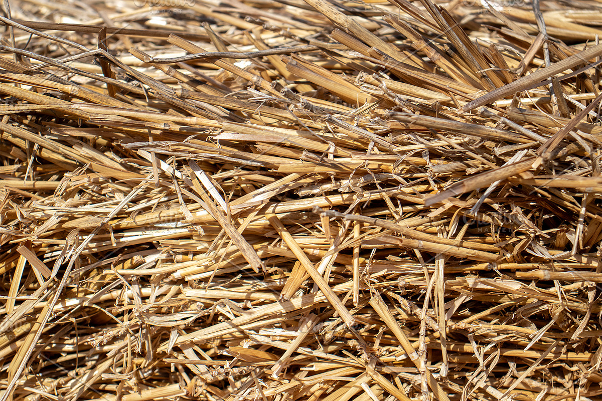 The straw lies on the ground, an Abstract Photo by Schreibikus (Photo 7 of 7)