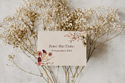 Everlasting Fall Pressed Wildflowers, a Seasonal Illustration by Catch the Dream Art (Thumbnail 2 of 13)