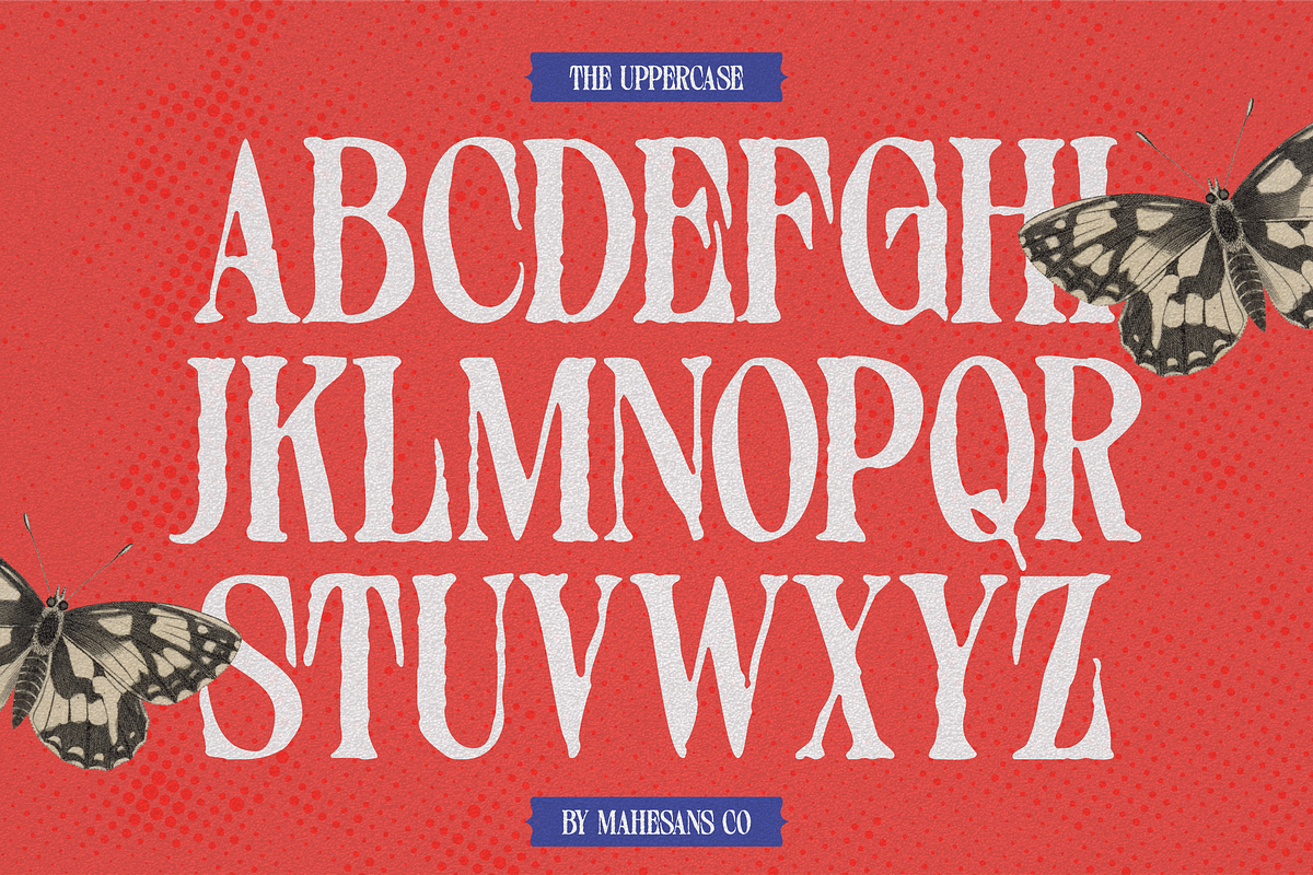 Distressed Seroze – Elegant Serif, a Serif Font by Mahesans Co (Photo 7 of 10)