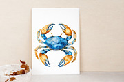 Watercolor Ocean Animals Clipart, an Illustration by Libby Wishes (Thumbnail 3 of 7)