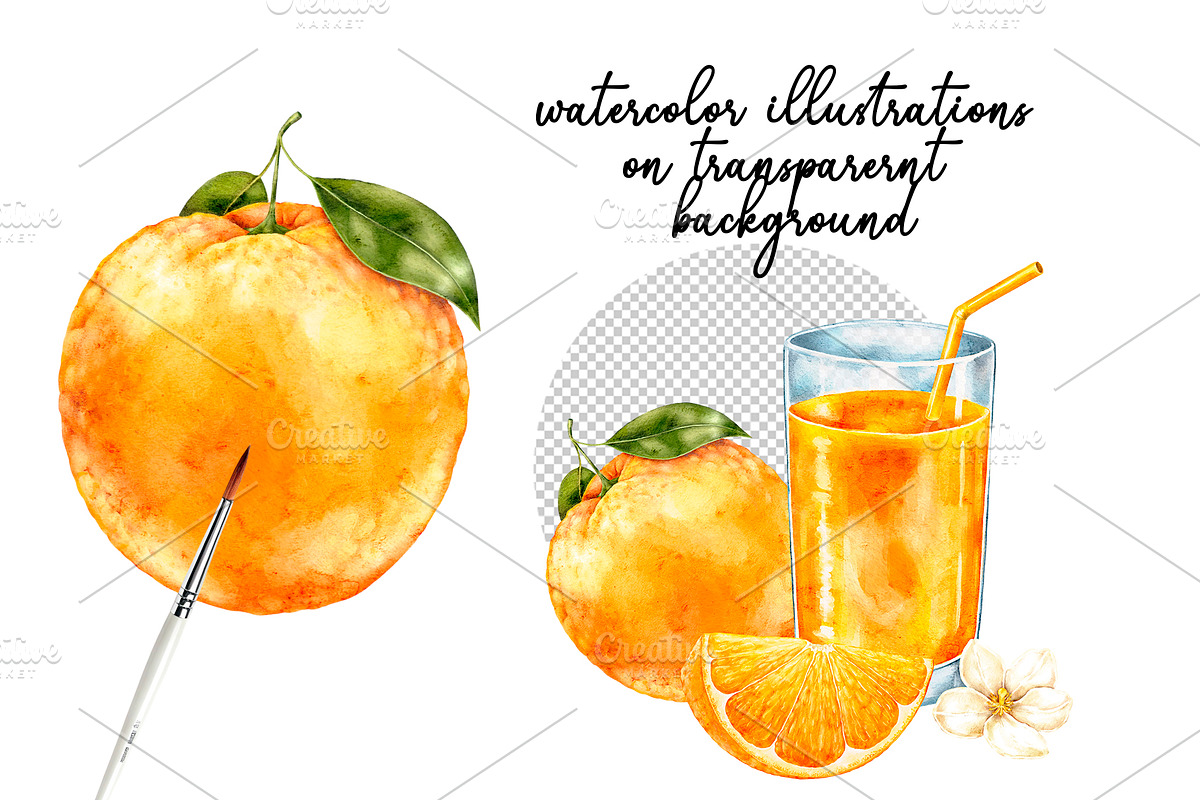 Orange Watercolor Clipart - PNG, a Food Illustration by Eves_Aquadreams (Photo 2 of 11)