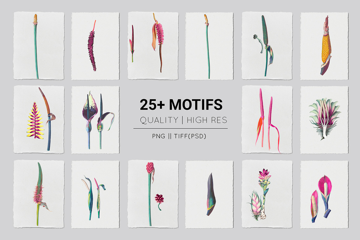 Montage, Luxury Patterns & Motifs, a Pattern Graphic by Pink Linen (Photo 11 of 14)