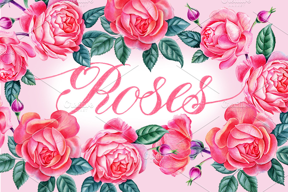 Roses, an Illustration by Watercolor life (Photo 1 of 6)