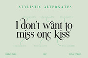 Aquifer, a Serif Font by Damelev (Thumbnail 13 of 15)