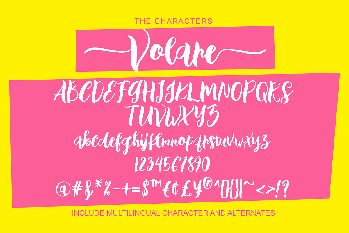 Volare, a Script Font by Gatype (Photo 4 of 7)