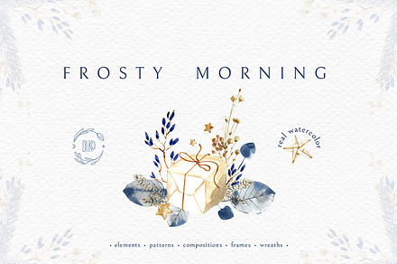 Frosty Morning.