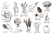 Outline Vegetables Set + Pattens, an Object Graphic by Sopelkin (Thumbnail 2 of 4)