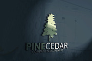 Pine Cedar Tree Logo 10 % discount, a Branding & Logo Template by Josuf Media (Thumbnail 2 of 6)