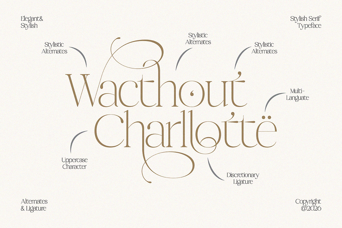 Midnight Obstacle, a Serif Font by Godbless Studio (Photo 4 of 14)