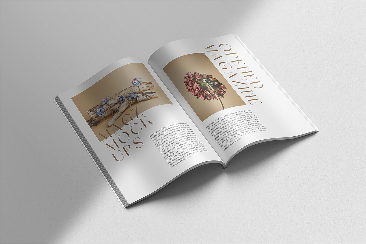 A4 Magazine Mockup, a Books & Magazine Mockup by graphicpages (Photo 4 of 17)