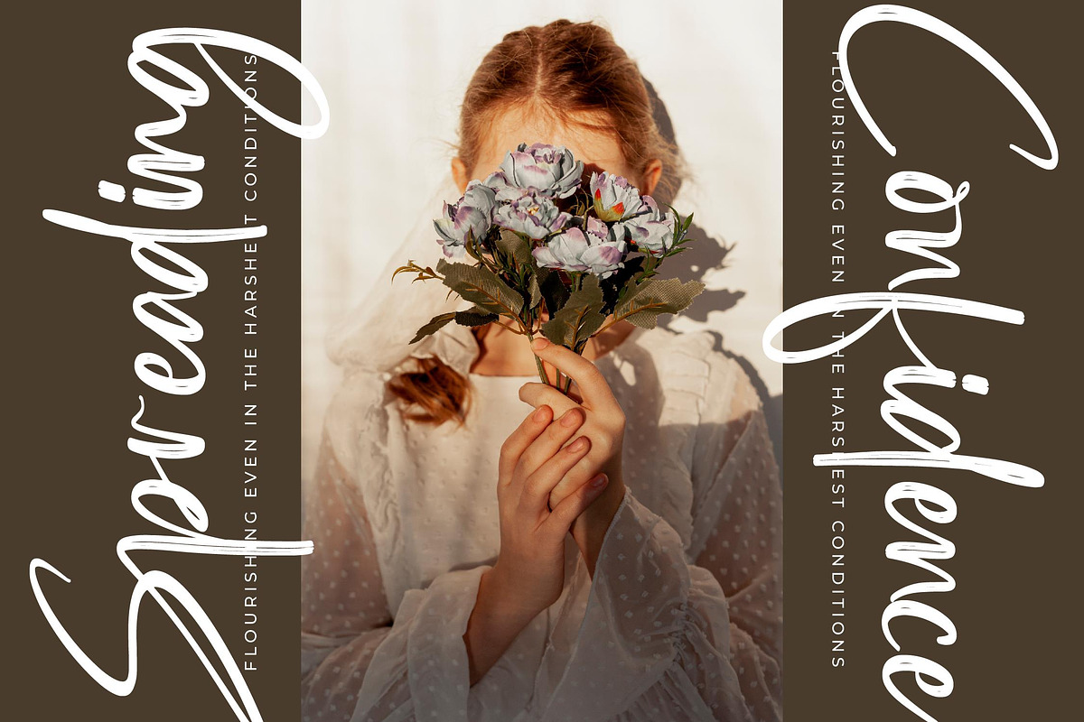 Southery Bold Brush Font, a Script Font by stylishtype.co (Photo 5 of 20)