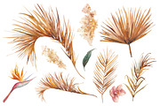 DESERT PLANTS, an Illustration by Eisfrei (Thumbnail 2 of 10)