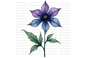 Monkshood Blooms, a Decorative Illustration by Bloom Craft Creations (Thumbnail 5 of 12)