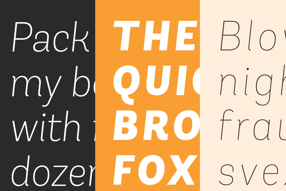 Andes Italic Family preview 3