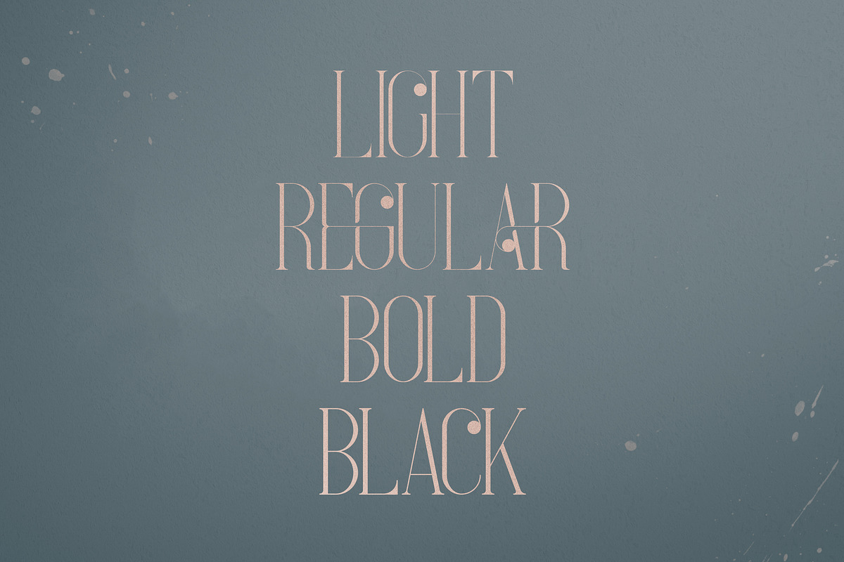 French Typeface - 4 fonts, a Serif Font by VP Fonts (Photo 2 of 9)