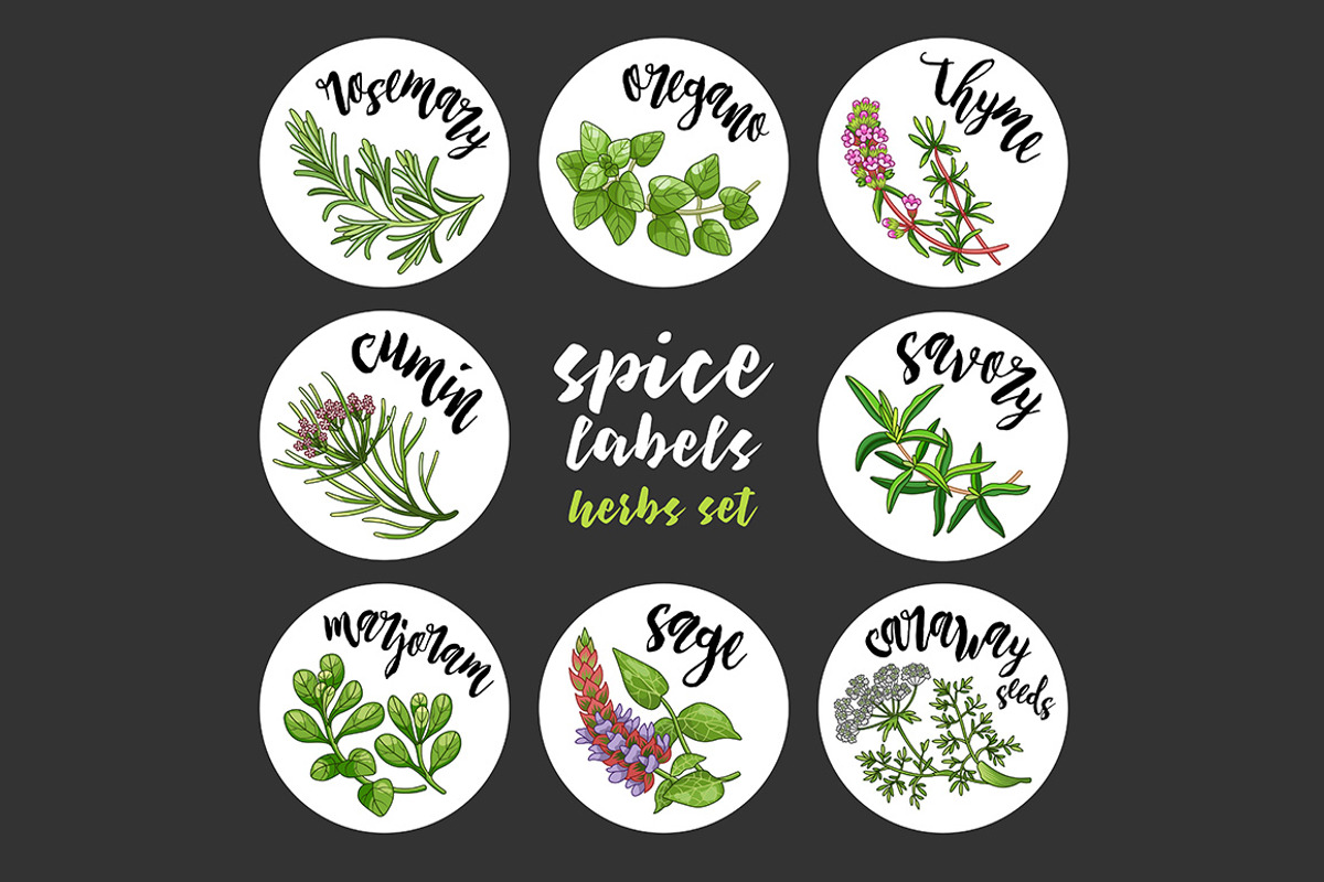 Spices and herbs labels set, a Decorative Illustration by Primula`s shop (Photo 3 of 12)