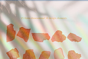 Nature Graphics Collection #03, an Object Graphic by ARKS ACADEMY (Thumbnail 9 of 13)